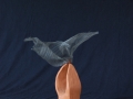 flight