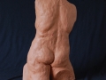 torso B
